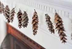 pine cones are hung on a line in front of a fireplace