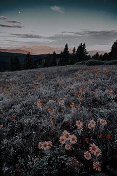 a field full of wildflowers under a cloudy sky at dusk with the moon in the distance