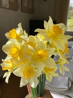 This is someone holding some yellow daffodils 🍯 Tuberose Perfume, Flower Gardening Ideas, Photos Flowers, Lilly Flower, Yellow Daffodils, Daffodil Flower, Digital Creator