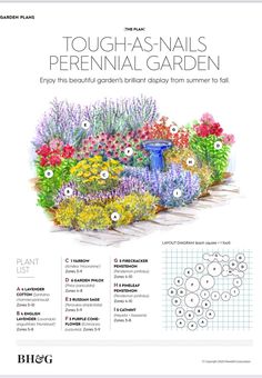 an illustrated garden with flowers and plants in the center, surrounded by words that read tough - nails perennial garden