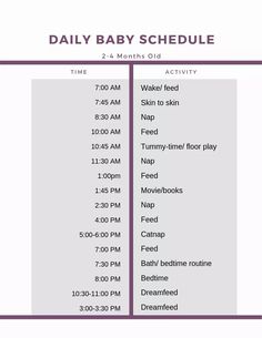 the daily baby schedule is shown in purple