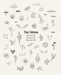 the cover of tiny tattoos one for each