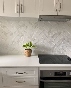 a potted plant sitting on top of a kitchen counter next to an oven and dishwasher