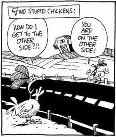 Two Stupid Chickens ~ WhatsApp Forwards, Puzzles, Jokes & Pics | Forward Junction Funny Chicken Pictures, Chicken Jokes, Blonde Jokes, Chicken Pictures, Clean Funny Jokes, Funny Cartoon Pictures, Cartoon Strip, Clean Jokes, Chicken Humor