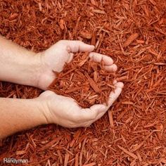 two hands making a heart shape out of wood shavings on top of red mulch