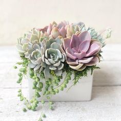 there are three succulents in the planter on the white wooden table