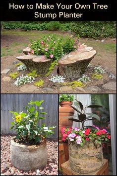 several different types of planters with flowers in them and the words how to make your own tree stump planter