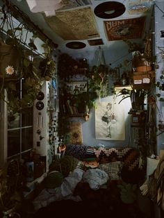 a room filled with lots of plants and pictures on the wall next to a window