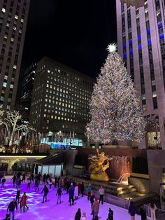 people skating on an ice rink in front of a large christmas tree with lights at night