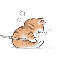 an orange cat sitting on top of a white floor next to bubbles and a leash