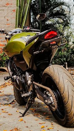 the motorcycle is parked on the side of the road in front of a cactus tree