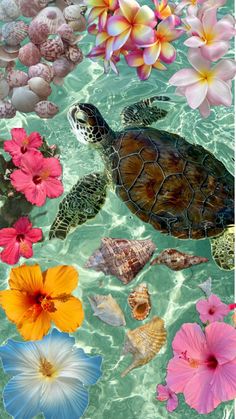 a turtle swimming in the water surrounded by flowers