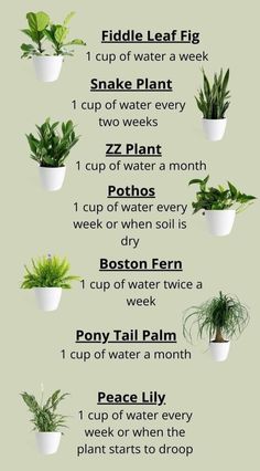 the house plant watering chart is shown in this graphic, which shows how to use it