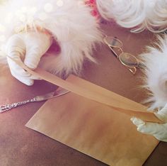 a person wearing white gloves and holding a piece of paper with a feather on it