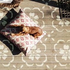 a brown dog laying on top of a pillow next to a wooden table and chair