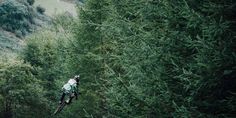 a person on a bike in the air above trees and hills with mountains in the background