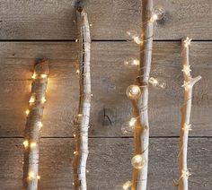 three branches with lights on them against a wooden wall