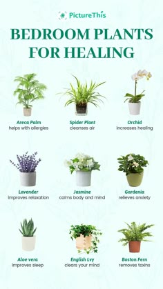 a poster with different types of plants in it