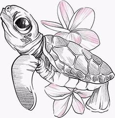 a drawing of a turtle with a flower on it's back and its head in the air