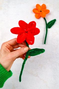 someone is holding two red and orange flowers in their left hand, while the other one has green stems