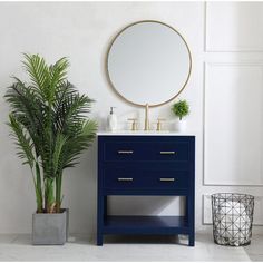 a bathroom vanity with a mirror and potted plant next to it on the floor