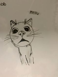 a drawing of a cat with the words meow written on it's face