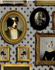 a wall with many pictures and dogs on it's sides, including one dog in a formal dress