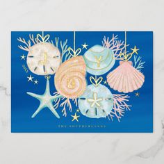 three seashells and starfish on a blue background with the words, the southern seas