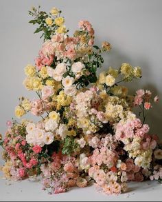 a bunch of flowers sitting on top of each other in front of a white wall