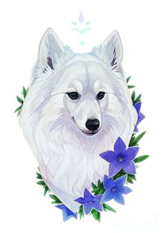 a white dog with blue flowers around it's neck