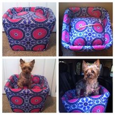 three pictures of a small dog sitting in its bed