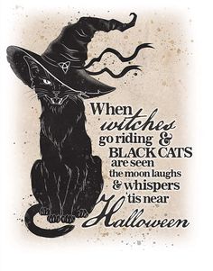 a black cat with a witches hat on it's head and the words, when witches