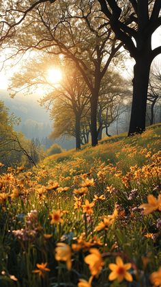 the sun shines brightly through the trees and flowers on this hillside covered in wildflowers