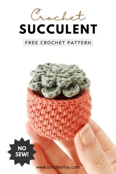 crochet succulent is shown with the text, free crochet pattern