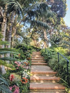 a set of steps that lead up to some trees