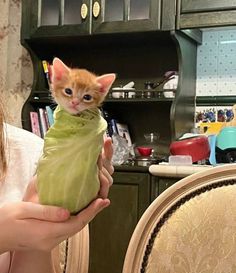 a woman holding a small kitten in a bag on top of a chair next to a table