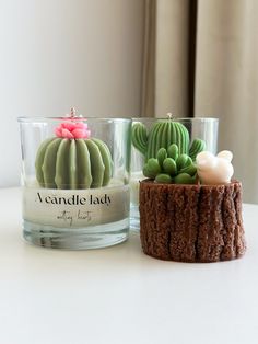 two candles sitting on top of a table next to a cactus and succulent