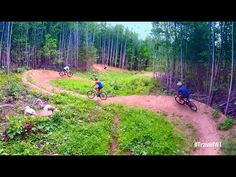 three people riding bikes on a dirt trail in the woods with green grass and trees