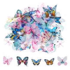 the butterflies are all different colors and sizes