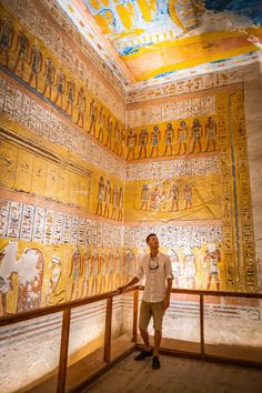 a man standing in front of some egyptian paintings