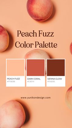 Pantone Color of the Year 2024: PANTONE 13-1023 Peach Fuzz Peach Complementary Colors, Peach Pantone 2024, Peaches Color Palette, Pantone Color 2024 Peach Fuzz, Wedding Color Peach, 2024 Color Of The Year Pantone, Ginger Color Palette, Pantone Colors 2024