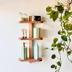 three wooden shelves with bottles, soaps and lotions on them next to a potted plant