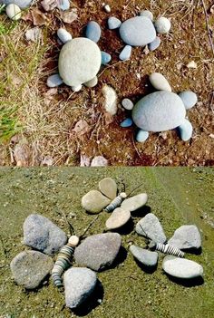 some rocks are laying on the ground and one is in the middle of it with shells