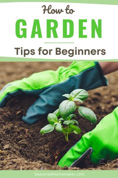 gardening gloves and plants in dirt with text overlay how to garden tips for beginners