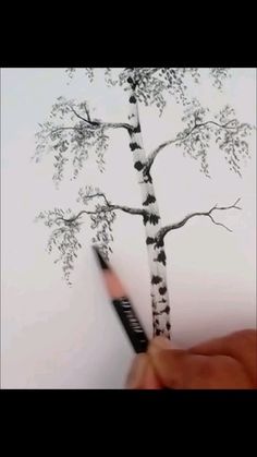 a hand holding a pencil drawing a tree