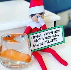 an elf is holding a sign that says i tried to bring you back a snowman but he melted