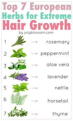 Women since long ago have been using herbs for their hair careWhat remedies have they been usingOne of them is herbsThis article talks about the top 7 European herbs for hair growth and how to use them so keep reading. Health Gummies, Herbs For Hair Growth, Media Pictures, 300 Workout, Hair Recipes, Herbs For Hair, Stop Hair Breakage, Extreme Hair Growth, Money Honey