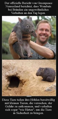 a man holding a baby animal in his arms and another photo with the caption