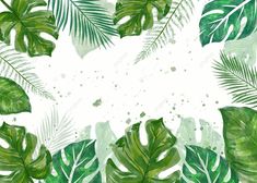 watercolor painting of green leaves and plants on a white background with space for text