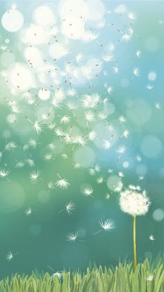 a dandelion blowing in the wind with grass and blue sky behind it on a sunny day